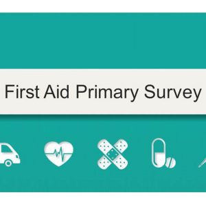 First Aid Primary Survey